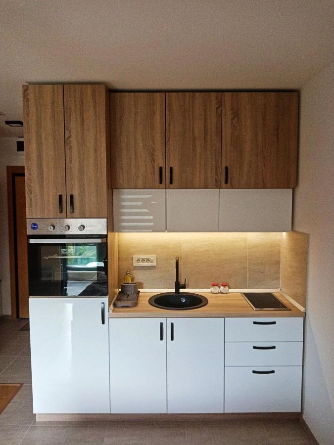 Studio Apartman Gorski Kristal Ζλάτιμπορ Εξωτερικό φωτογραφία